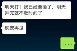 资源专业讨债公司，追讨消失的老赖